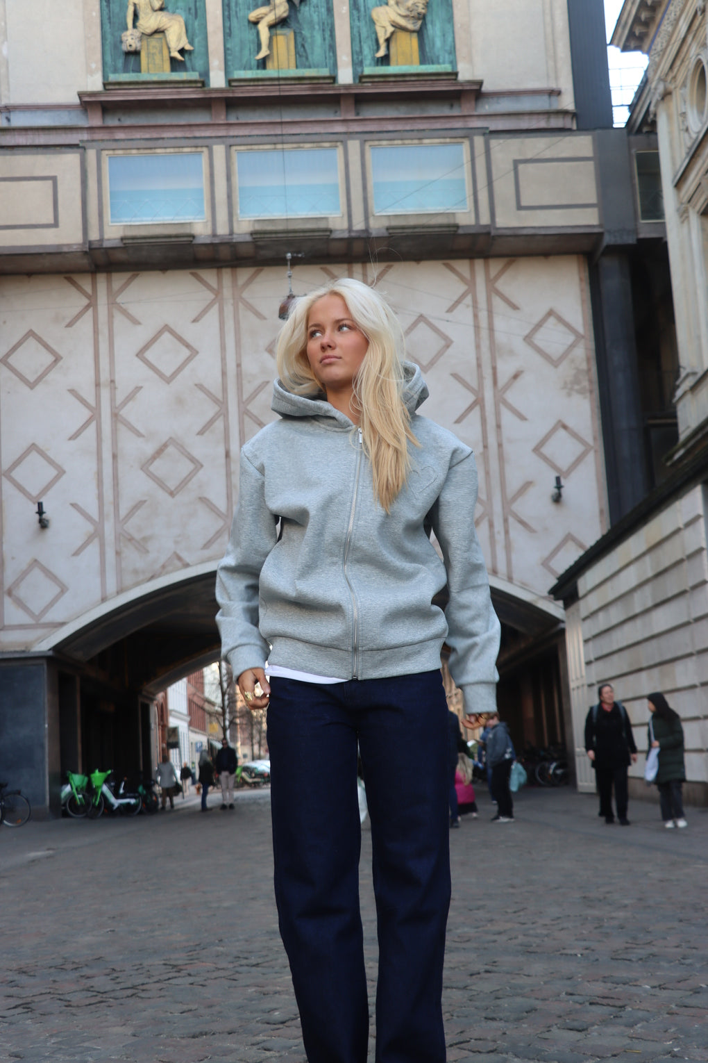 Cloud Zip Hoodie - Light Grey
